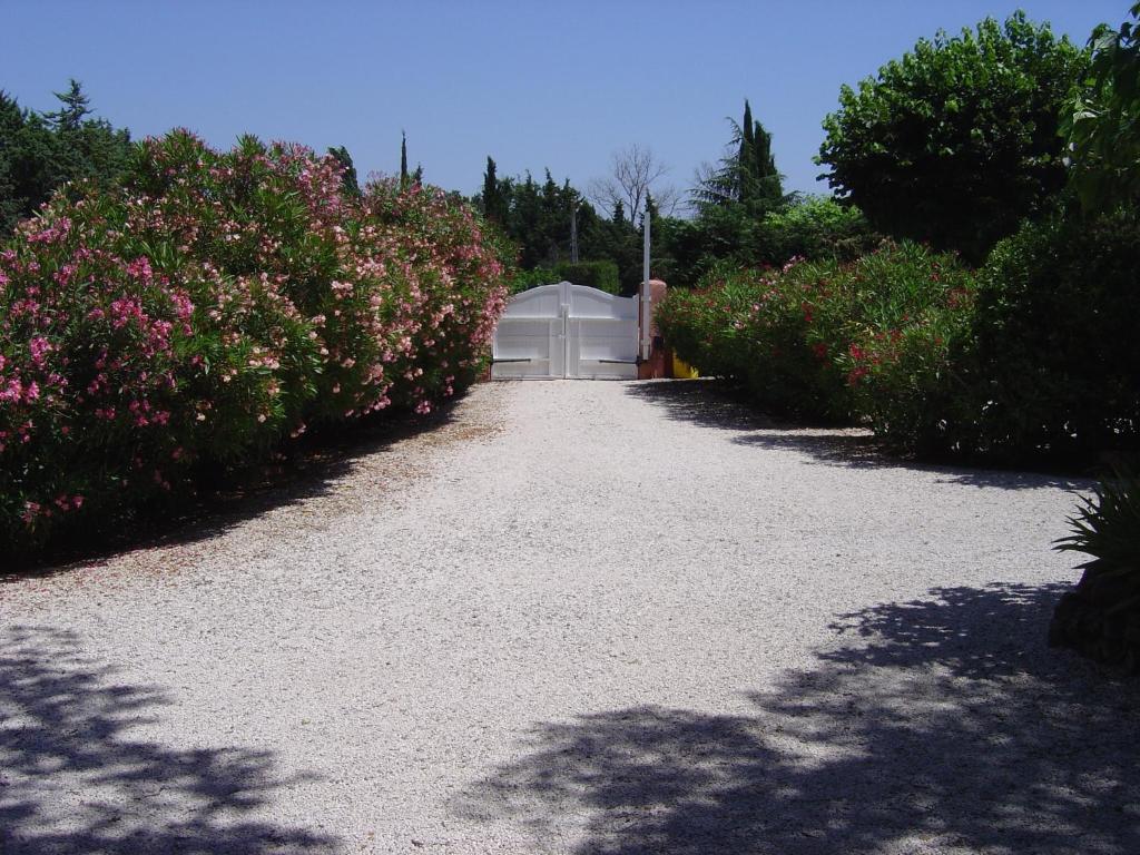 Le Mas Du Bijou Bleu Puget-sur Argens Kamer foto